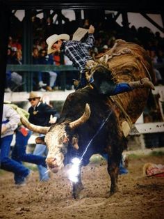 bull rider killed
